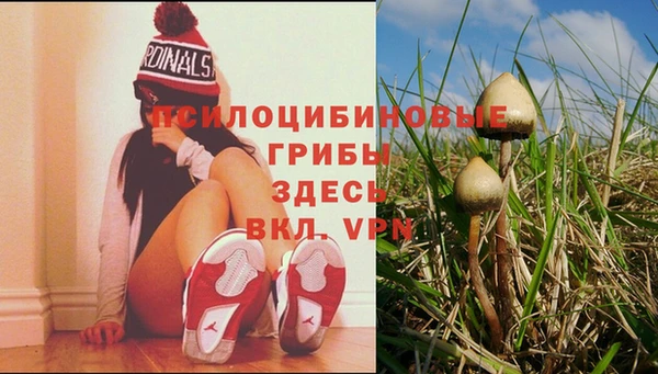 мет Алексеевка