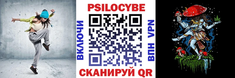 Псилоцибиновые грибы Psilocybe Хотьково
