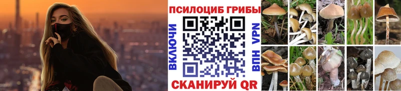дарк нет официальный сайт  Хотьково  Псилоцибиновые грибы GOLDEN TEACHER  купить закладку 
